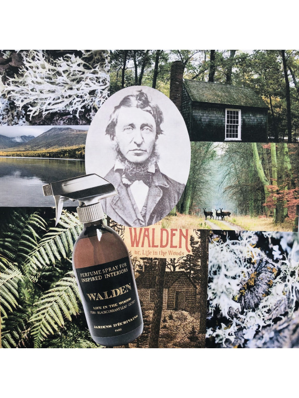Interior perfume - WALDEN - Life in the woods