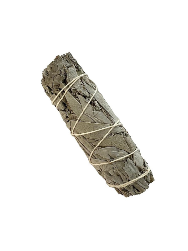 Feuilles de Sauge blanche en vrac 50G - Smudge Stick