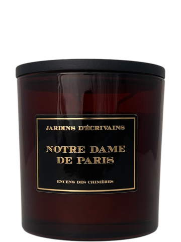 Candle Notre Dame De Paris...