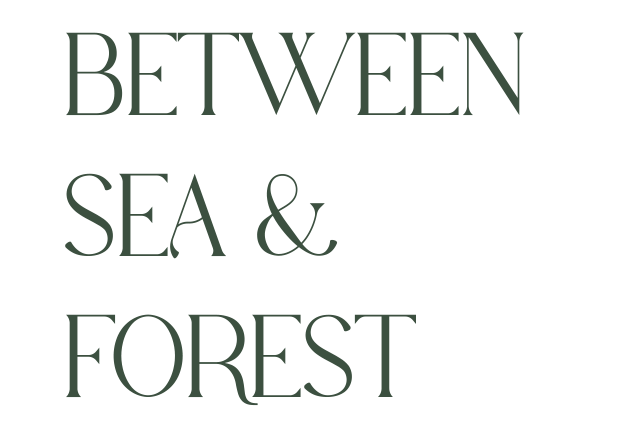 Between Sea & Forest